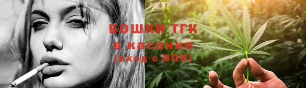 PSILOCYBIN Козловка