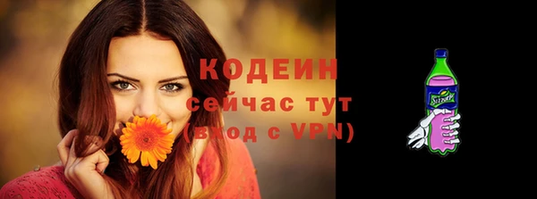 гидра Краснослободск