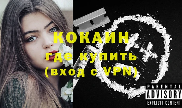 гидра Краснослободск
