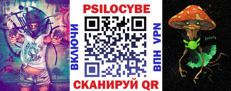 магазин продажи наркотиков  гидра зеркало  Псилоцибиновые грибы Cubensis  Котовск 