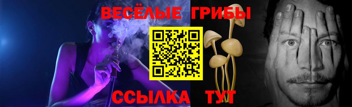 Галлюциногенные грибы Psilocybe  Вход с VPN  Котовск 